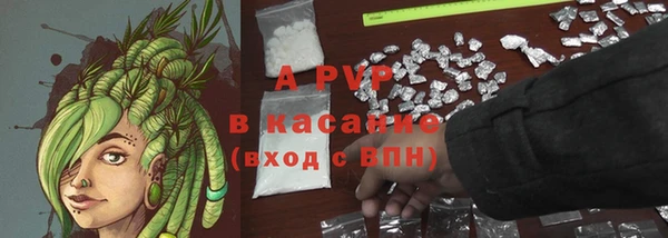 сатива Волосово