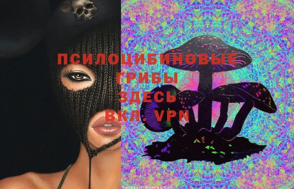 сатива Волосово