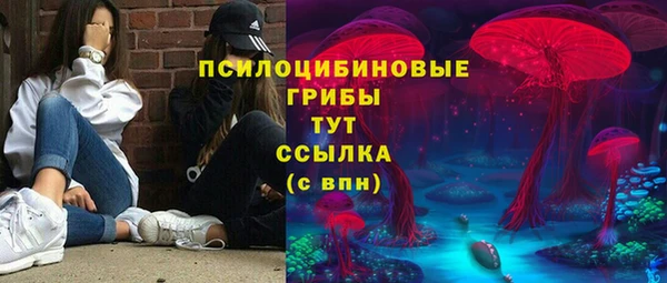 ешки Верея