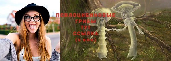 сатива Волосово